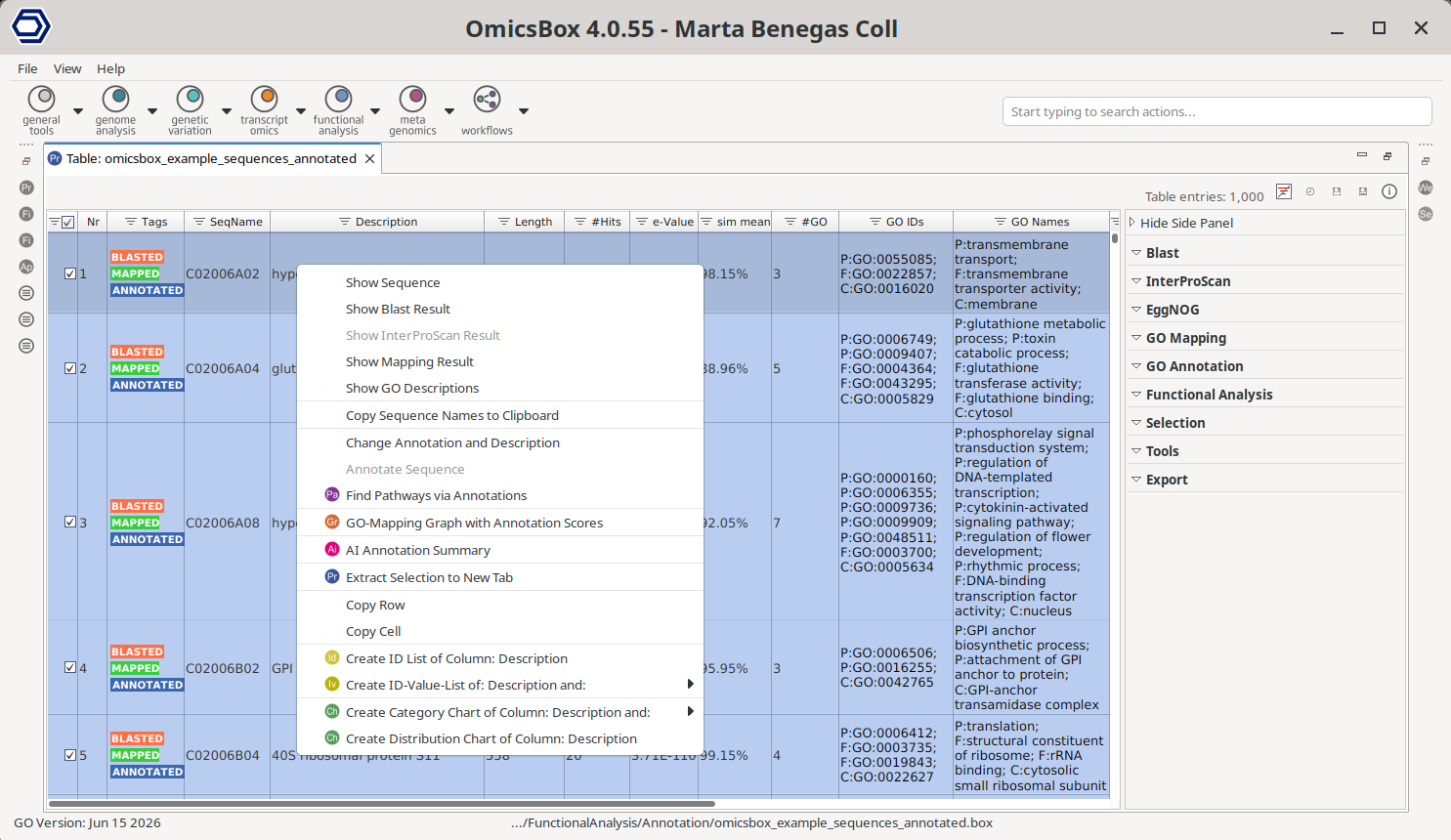 Context menu of the Main Functional Annotation Table