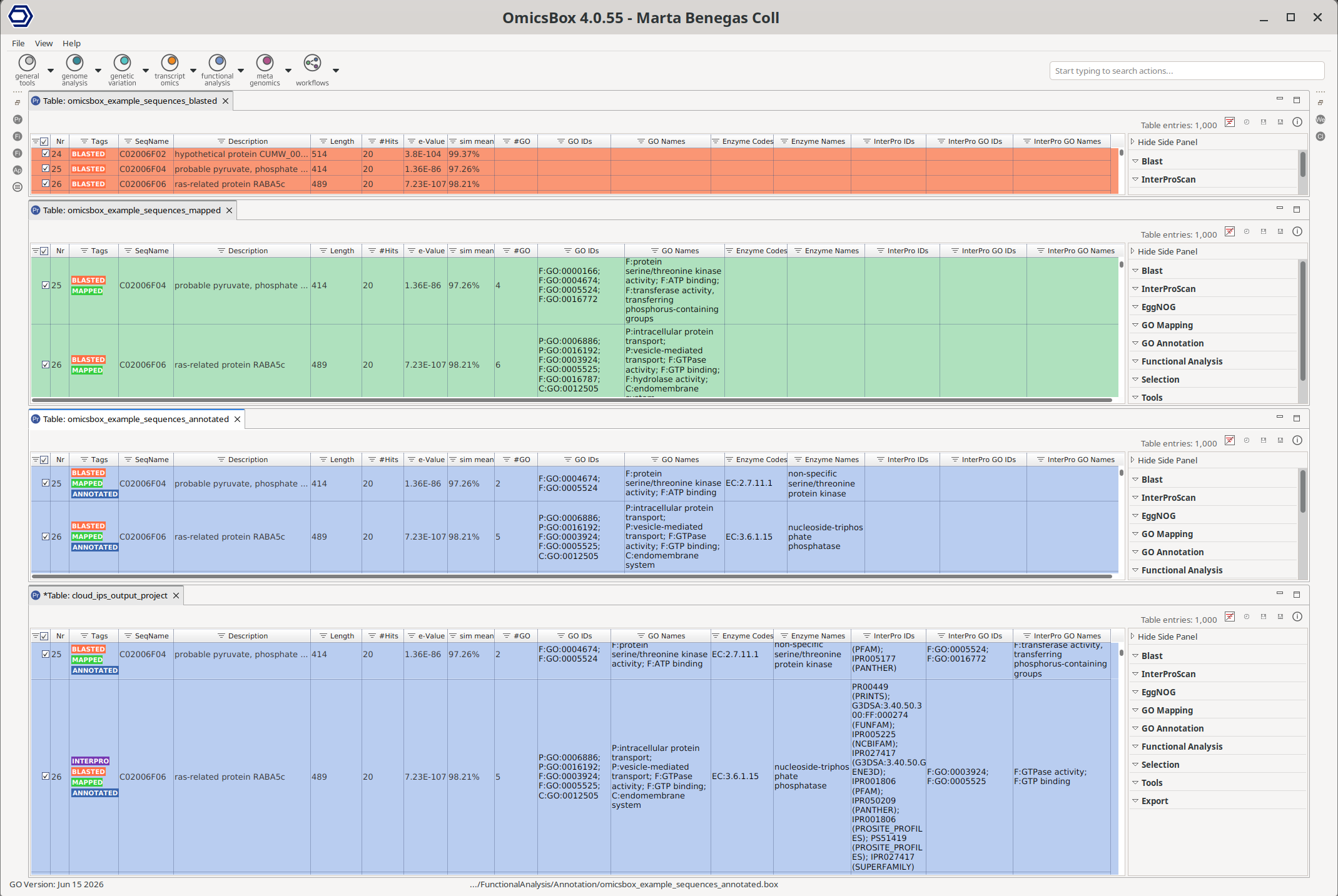 Main Sequence Table of a functional annotation project showing BLAST, GO Mapping, GO Annotation, and InterProScan results